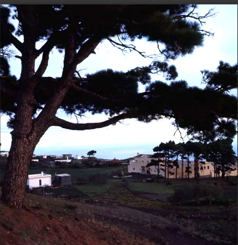 Bodegas Teneguía en Fuencaliente